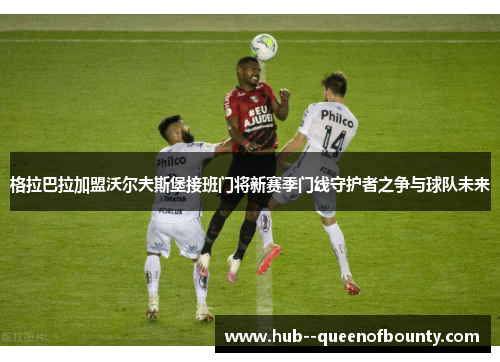 格拉巴拉加盟沃尔夫斯堡接班门将新赛季门线守护者之争与球队未来