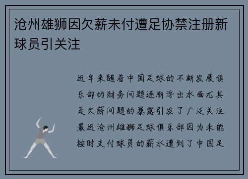 沧州雄狮因欠薪未付遭足协禁注册新球员引关注
