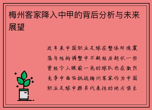 梅州客家降入中甲的背后分析与未来展望 梅州客家降入中甲的背后分析与未来展望